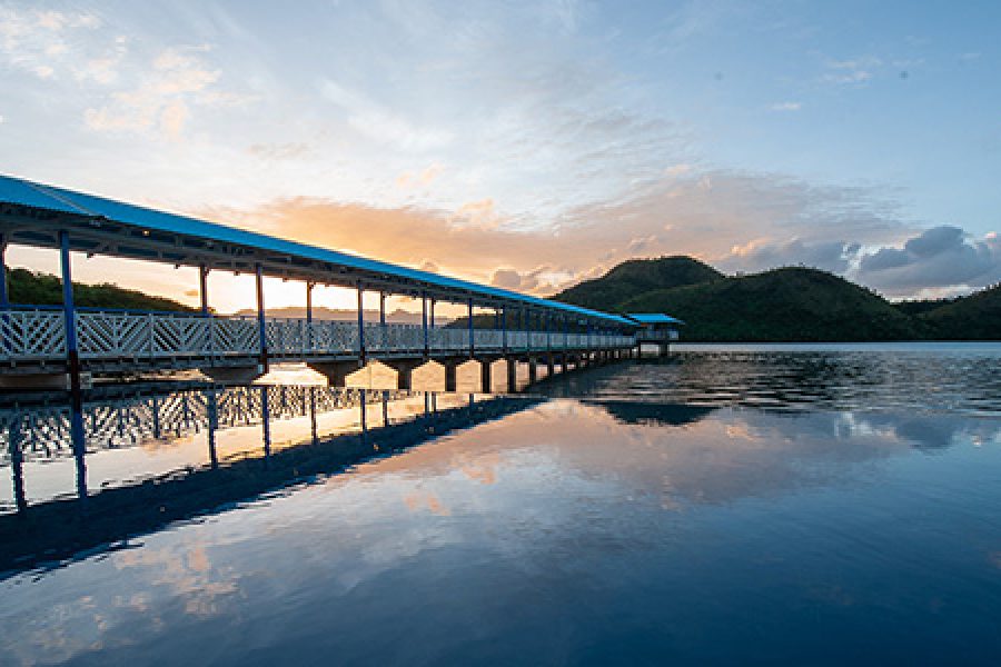 Coron Calauit Safari Tour