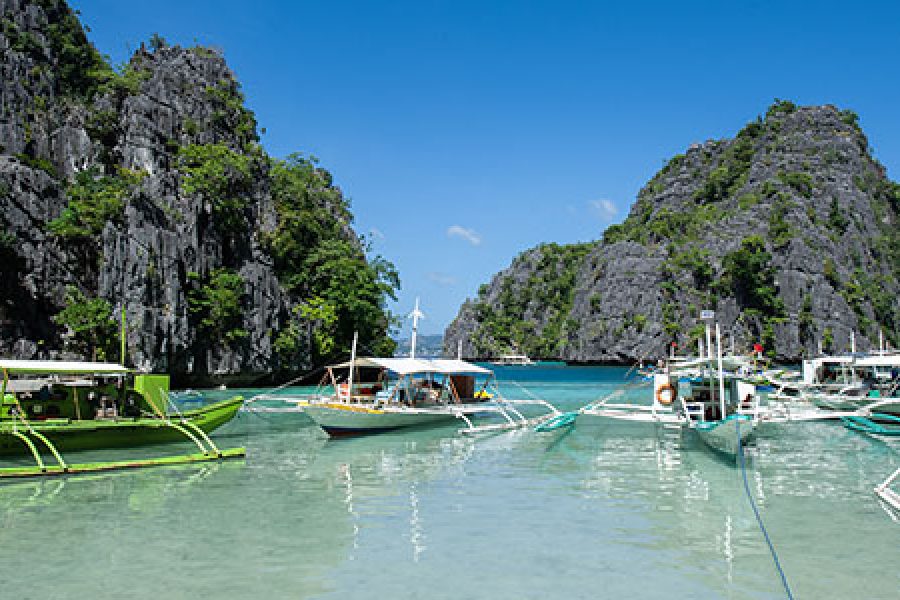 Coron Reefs and Wrecks Tour